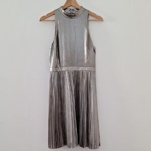 Ann Taylor Shiny Silver Dress